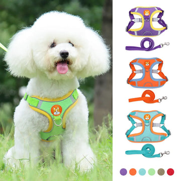 Reflective Dog Harness and Leash Set for Small Dogs
