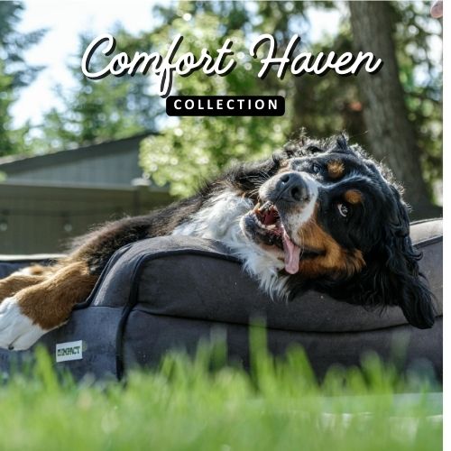 Comfort Haven