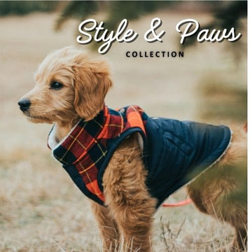Style & Paws