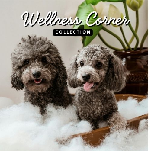 Wellness Corner