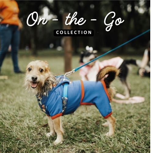 On-the-Go