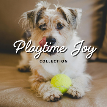 Playtime Joy