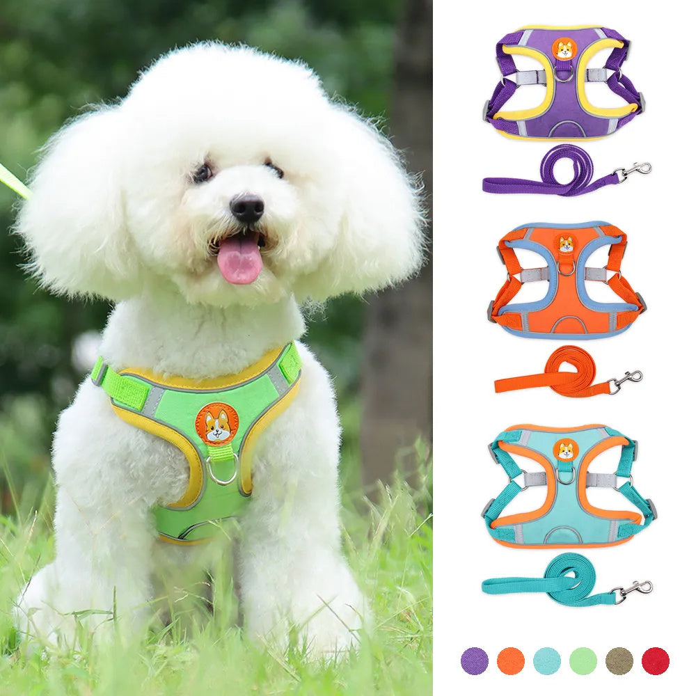 Reflective Dog Harness and Leash Set for Small Dogs